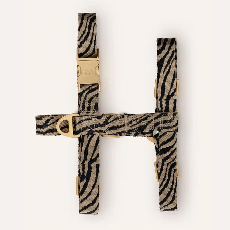 Oprsnica Zebra