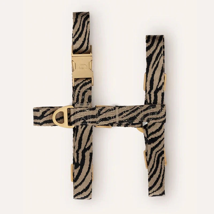 Oprsnica Zebra